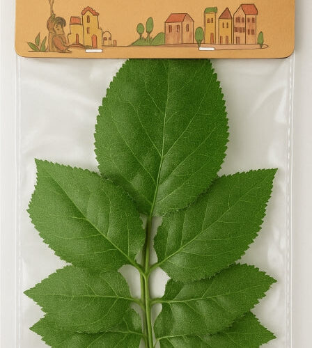 Buy Artificial Plastic Leaf Green - Mix Design Online In Pakistan