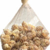 Sea Shells Large Net Pouch - Off White - China