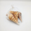 Sea Shells Large Net Pouch - Off White - China