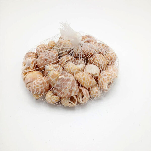 Sea Shells Large Net Pouch - Off White - China